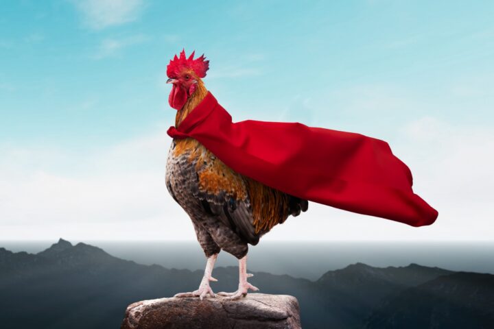 Hoe je verkleed als kip een slamdunk maakt op YouTube